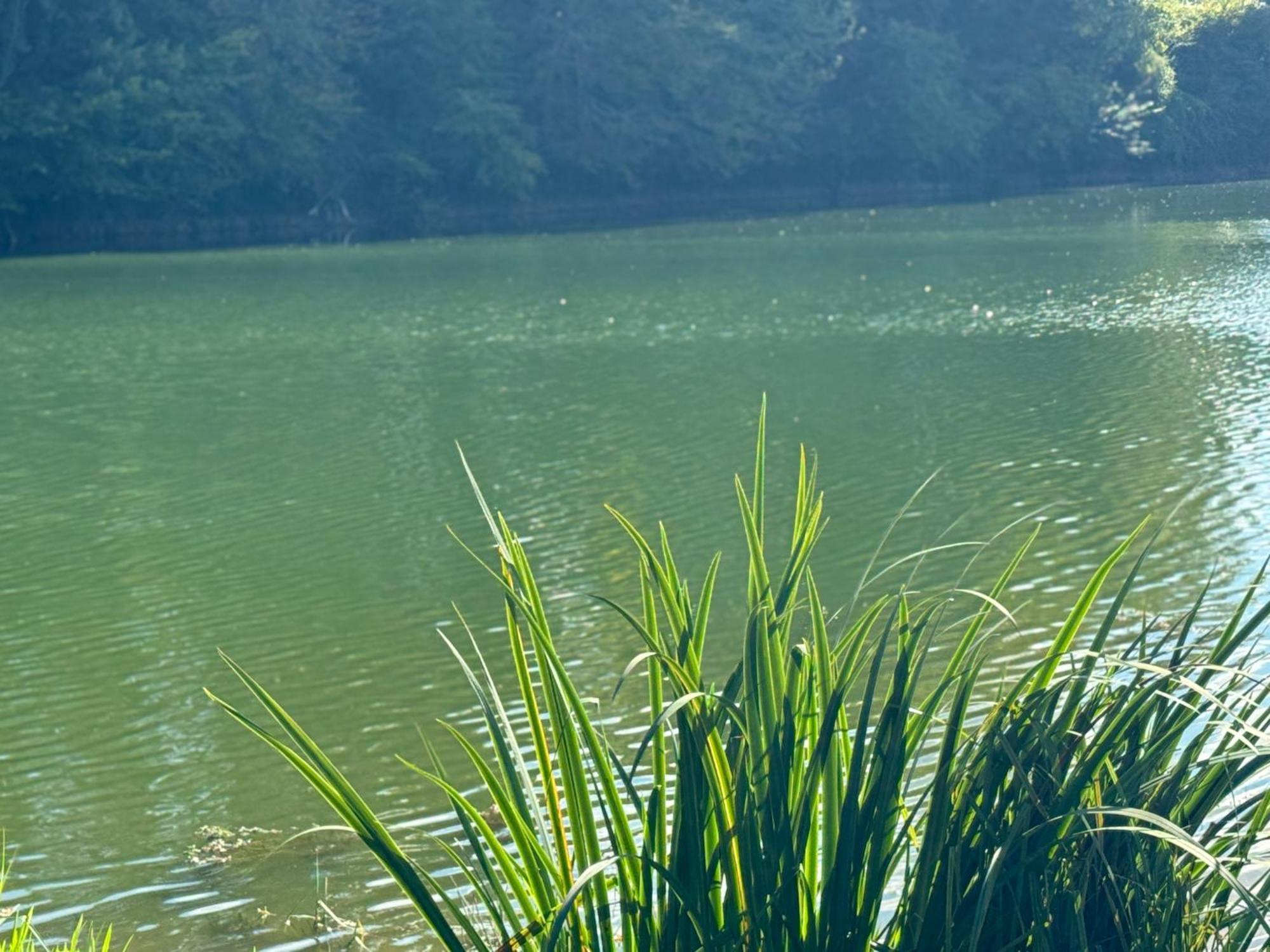 Lac De Lumiere. Relax With Rural Lakeside Living Herry Dış mekan fotoğraf